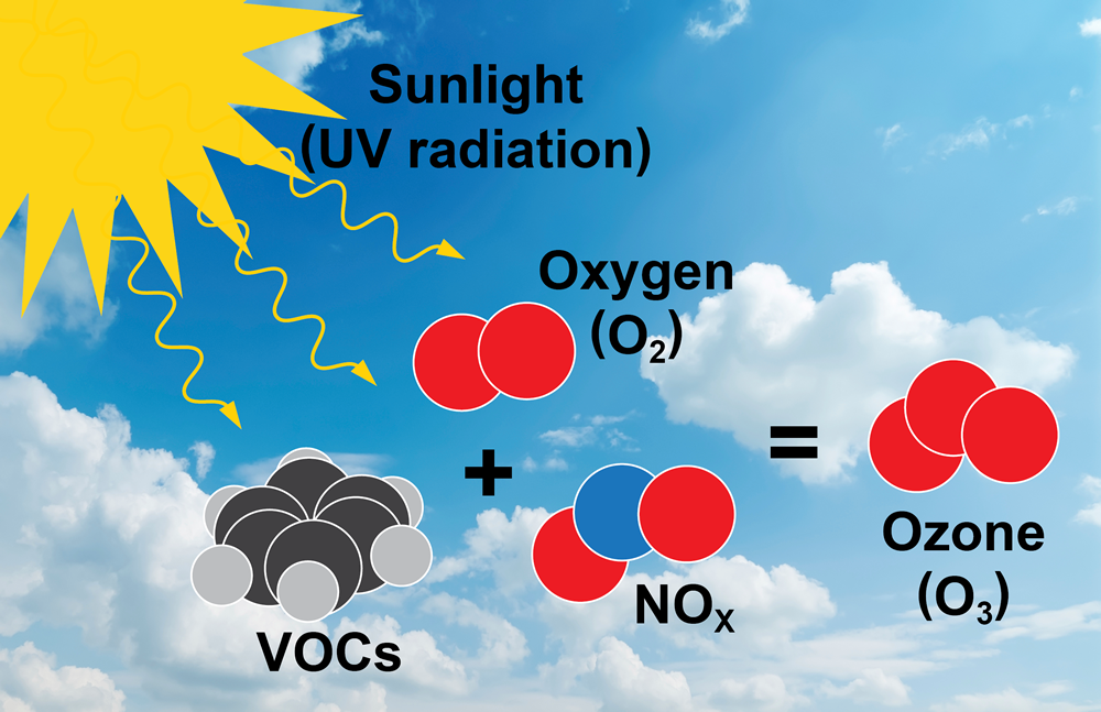 ozone photochemistry